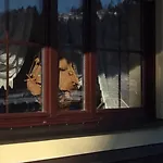 בית הארחה Ankerbraeu Brauerei Bierbad 4*